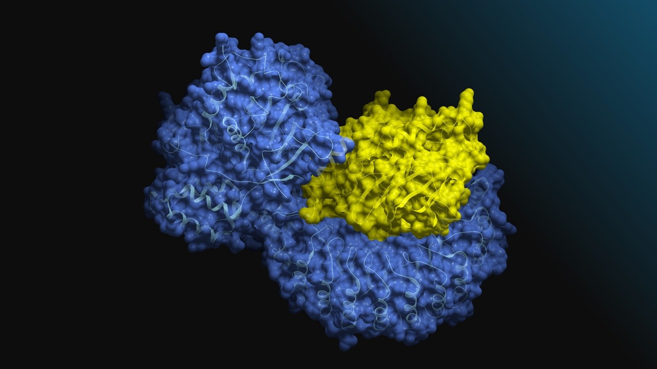 Guide Generative AI Protein Structure Screening